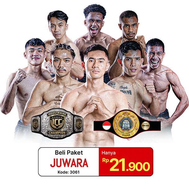 NEX Road to Champion fighters